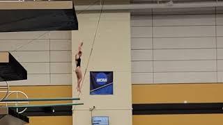 Women's 3m Springboard 305c Daryn Wright