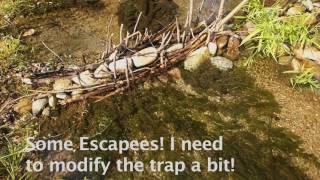 Fish Traps You Didn't Think Of!