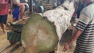 KAYU JATI PANJANG ,,8METER LURUS BUAT DUDUR RUMAH JOGLO