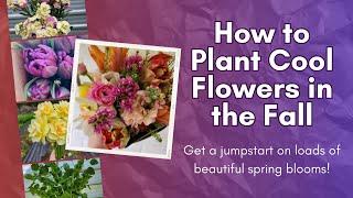 How to Plant Cool Flowers in the Fall! Why this is the best method for southern growers