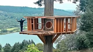 A Man Builds a Secret Tree House | From Start to Finish by @Wild_Hammer