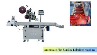 Automatic Flat Surface Label Applicator / High Speed Carton Plane Labeling Machine #immaymachine