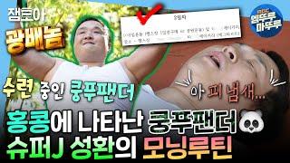 [나혼자산다] 여행 2일차 START 홍콩에서도 이어지는 루틴성환의 피 맛나는 아침 운동 | #구성환 #홍콩 MBC241220방송