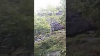 One fine day for nature #trending #travel #indiansong #bolleywoodsong #nature
