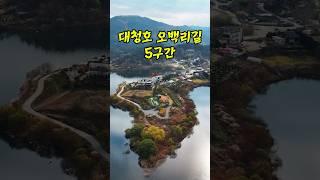 지금가면 딱! 좋은 대청호 오백리길 5구간 #대청호 #대청호오백리길 #대청호5구간