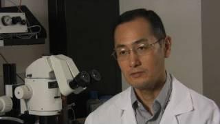 Interview with Nobel winner Shinya Yamanaka