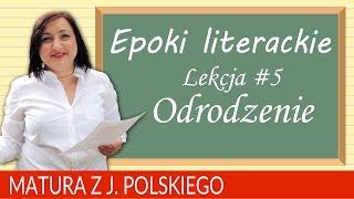 62. Matura z polskiego 2018: powtórzenie o epokach literackich - odrodzenie