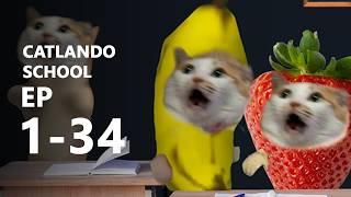 CATLANDO EP1-34  - BANANA CAT ANIMATION MOVIE KIDS FULL LONG LENGTH   ️