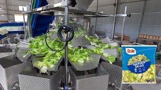 Automatic Vegetable Salad Vertical Pouch Nitrogen Filling Weighing Packaging Machine