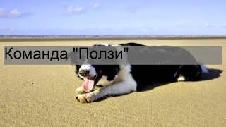 Команда 'Ползи'