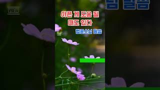 아픈 게 도움 될 때도 있다. #법륜스님 #삶의지혜 #지혜 #인생조언 #좋은글 #인생