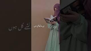 |ma haya Suleman nhi thi| #novel #urdunovels #viral #novels #haya #salarsikandar #trending