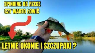 RZECZNY SPINNING ODRA DAJE OKONIE i SZCZUPAKI #ultralightfishing #spinning #ryby  #fishing