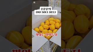 지금 바로! 맛있는 성주 참외 할인 중!"#성주참외 #10키로성주참외 #참외 #5키로 #제철과일