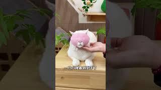 猫咪防咬头套，有了它随便给猫剪指甲啦新手养猫防咬嘴套宠物用品