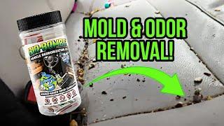 How To Save A Disaster Interior w/ Bio Bombs! (Odor Removal & Interior Cleaning)