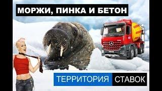 МОРЖИ, ПИНКА, БЕТОН И ДРУГИЕ ЗАБЛУЖДЕНИЯ О БУКМЕКЕРАХ