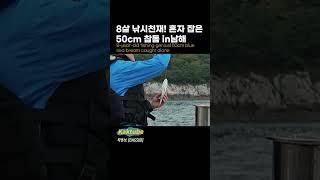 5/13 지금 핫한 아이,어른 누구나 쉽게 박스 가득 채워가는 낚시! #남해 #가족낚시  #fishing