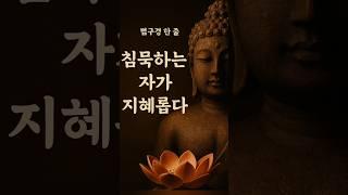 침묵하는자가 지혜롭다 #부처님말씀 #자기성찰