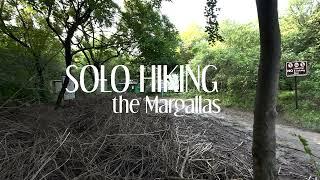 Solo Hiking the Margallas - Exploring Trail 4 after the Rain