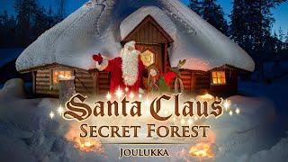 Santa Claus Secret Forest - Joulukka