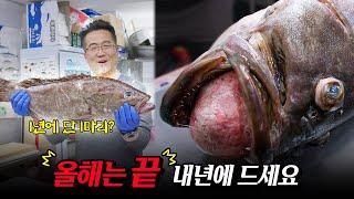 날이면 날마다 오는 생선이 아닙니다. 올해는 끝났습니다.