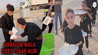 Karbala Arbaeen Walk | Najaf to Karbala | A Journey of Love | Heart Touching Video | 2023/1445 Hijri