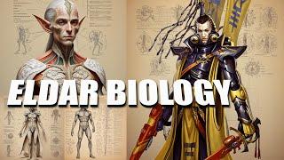 Eldar Biology and Anatomy Compared to Humans - Explained