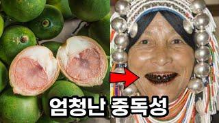 여행가서 이 과일 절대 먹지 마세요!(정말 많이 팝니다)