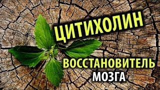 Цитихолин/CDP-холин/Цераксон: Когда Нужно Починить Мозг