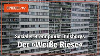 Brennpunkt Duisburg: Das Leben im Problemhochhaus »Weißer Riese«: | SPIEGEL TV