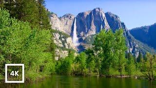 4K UHD Merced River Ambience | 10Hrs Yosemite Serene Nature River Sounds for Deep Relaxation & Sleep