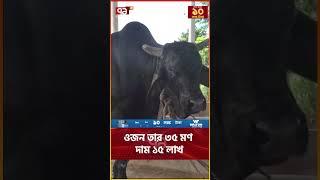 ওজন তার ৩৫ মণ, দাম ১৫ লাখ | Black Diamond Bull | Ekattor Tv