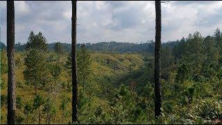 POR LA SIERRA DE SANTA MARIA SANTIAGO YAVEO