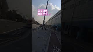 우연히 양주역까지 갔는데~ 봄이 오고있네요 ^^