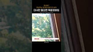 대화가 약간 일본영화나 독립영화 재질 #nctwish #재희 #료