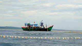 MENGEJUTKAN, Begini Cara Nelayan Indonesia Menangkap Ikan Di Rumpon || PUKAT CINCIN