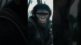 KINGDOM OF PLANET OF THE APES NOA ATTITUDE VIDEO EDITING #videoediting #noa #viralvideo #fyp #apes