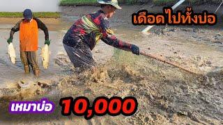 เหมาบ่อ 10,000บาท ปลาเยอะจัด มีเป็นหมื่นๆตัว | Ep.200