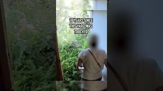 What happens when you leave a yard to grow for 10 years 
