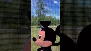 chill out Mickey Jesus
