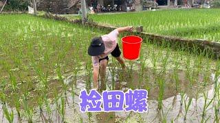 端午前后正是吃螺蛳的季节，阿恋到田里捡田螺，阿亮捞浮萍来喂鹅