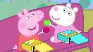 Peppa Pig Full Episodes | School Bus Trip | Cartoons for Children