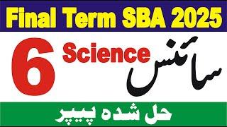 Grade 6 Paper Science 2025 | 6 Science SBA Final Term | 6th class paper science sba final term 2025