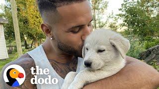 Tiny Puppy Leads Rescuer To Her Siblings | The Dodo