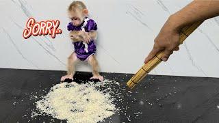 Kyo spills rice all over the floor – Funny ending when Dad returns!