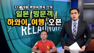 11월9일 하와이 현지 뉴스/일본 방문객 하와이 여행 오픈