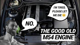 Everything You Need To Know About BMW's M54 Engine