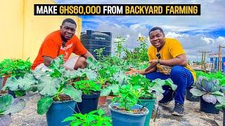 How To Make GHS 60,000($5025.13) Growing Habaneros As A Beginner in Ghana in 2023 #pepper #habaneros