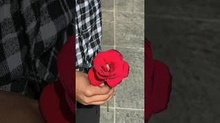 Abid ne rose diya aj #shorts#youtubeshorts #trendingshorts #reels #reelsinstagram #foryou